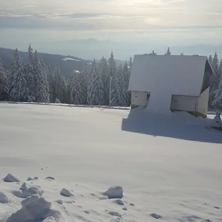 Rogla App Jerebika 11 Zrece
