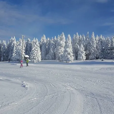 Rogla App Jerebika 11 * Zrece