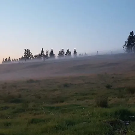 Rogla App Jerebika 11 *