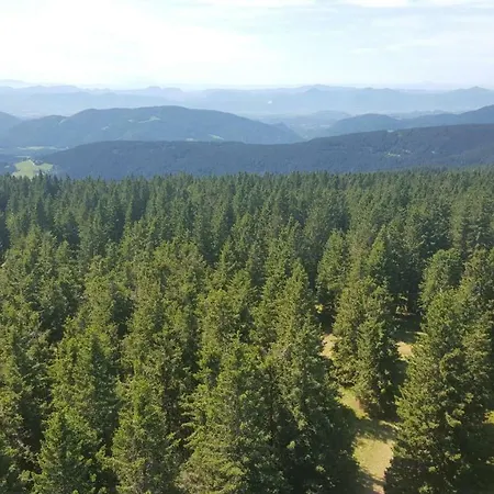 Rogla App Jerebika 11 * Zreče