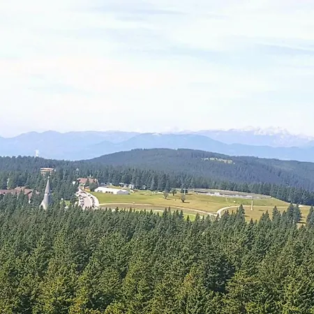 Rogla App Jerebika 11 * Zrece