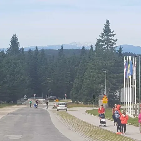 Rogla App Jerebika 11 Zrece