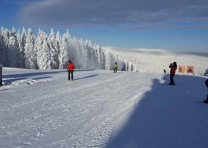 Rogla App Jerebika 11 * Zreče