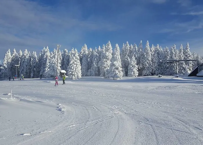 Rogla App Jerebika 11 * Zreče