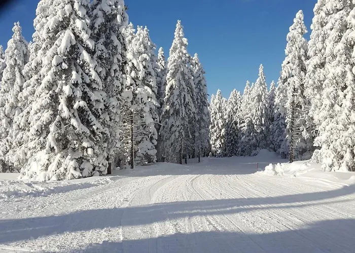 Rogla App Jerebika 11 公寓