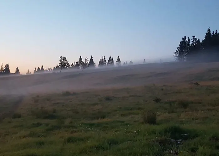 Rogla App Jerebika 11 *