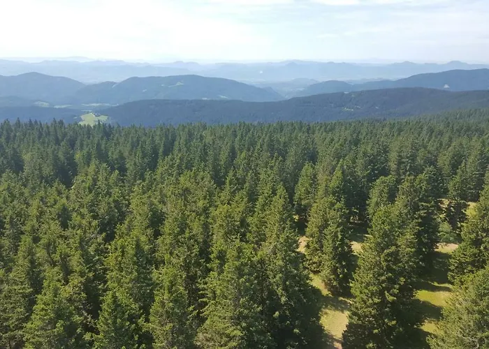 Rogla App Jerebika 11 * Zreče