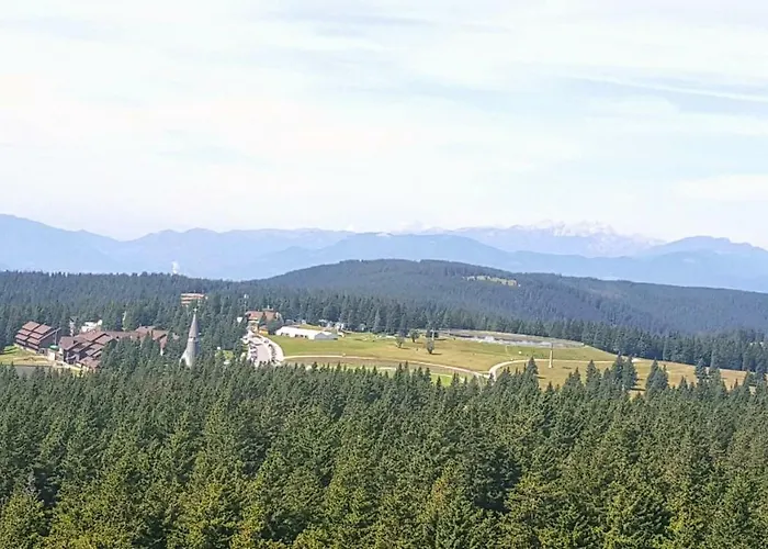 Rogla App Jerebika 11 * Zreče